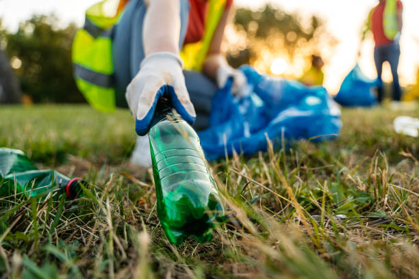 Best Yard Cleanup Services  in Owosso, MI